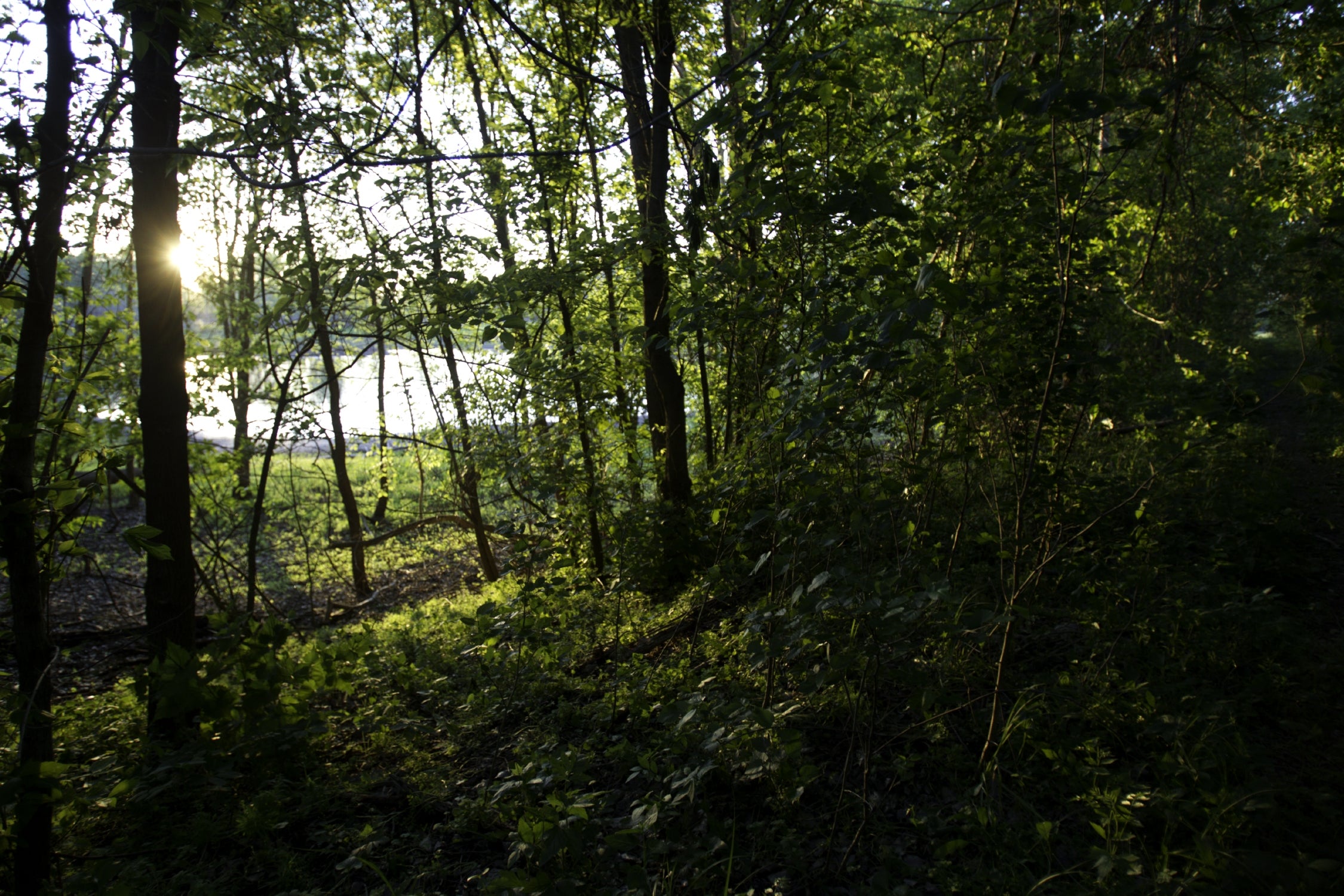 Diana Bend on the Katy Trail