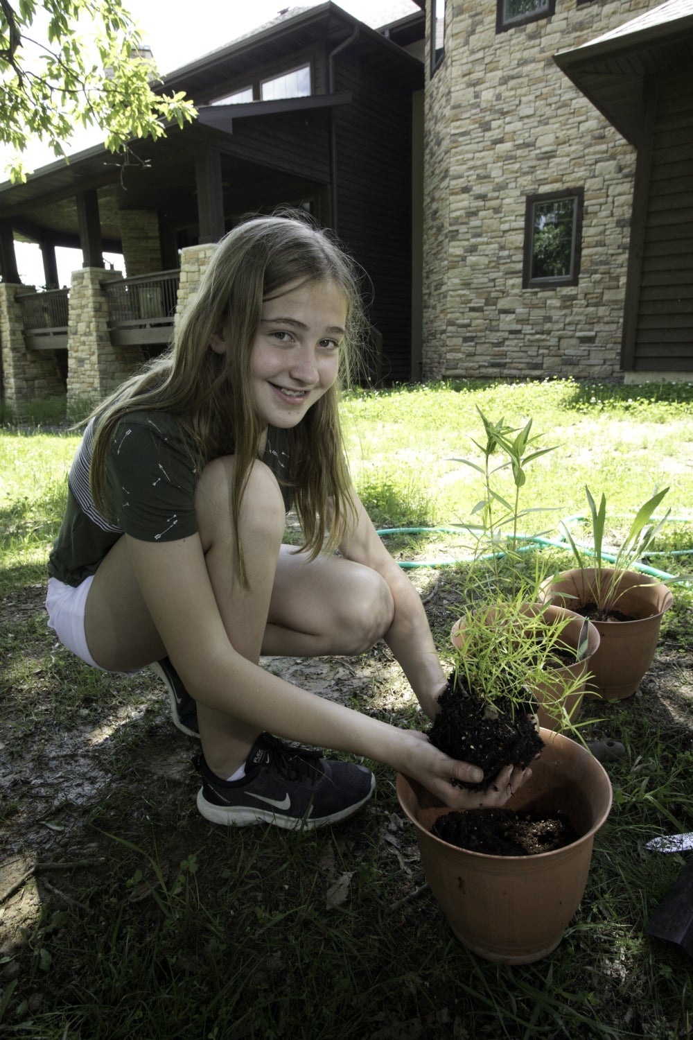 A girl hods a milkweed plant over a pot. 