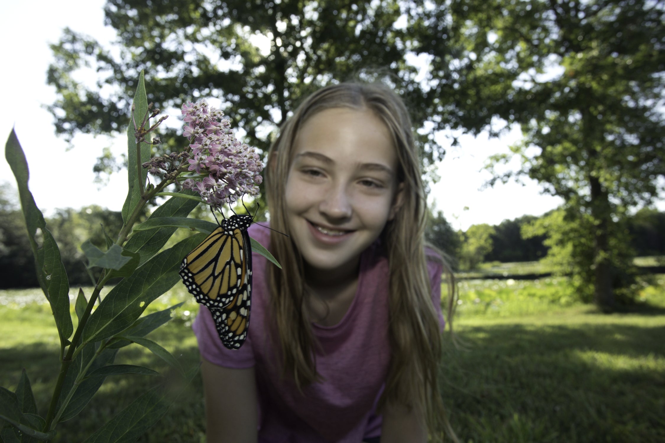 A smiling girl looks at a monarch butterfly on a milkweed flower.