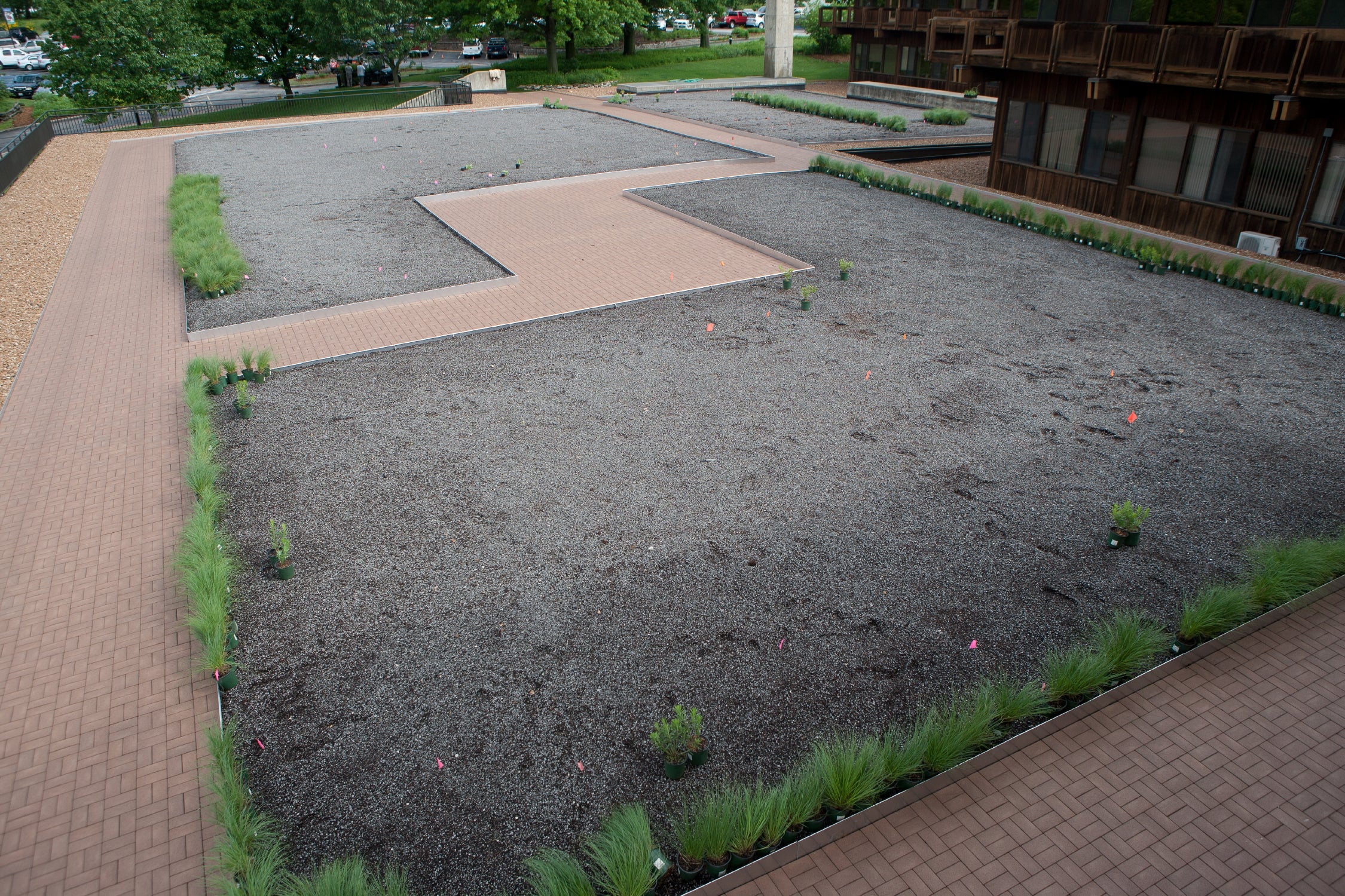 A rooftop garden is laid out on the roof of building. There is a path around the garden and through the middle of it.