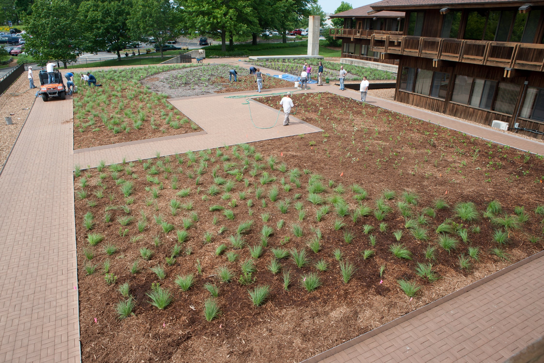 Seedling plants are set in the garden.