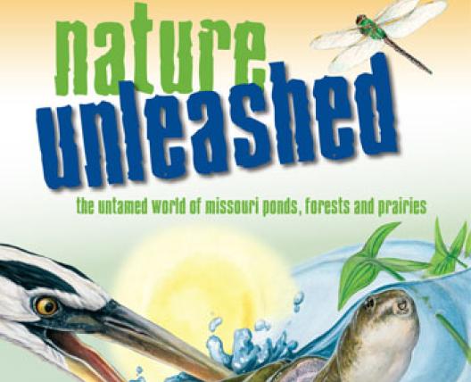 Discover Nature Schools | MISSOURI DEPARTMENT OF CONSERVATION