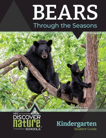 Bears Through the Seasons cover